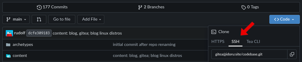 Cloning repo from gitea with SSH scheme